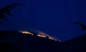 Пожар на врвот од планината Петрино североисточно од Охрид