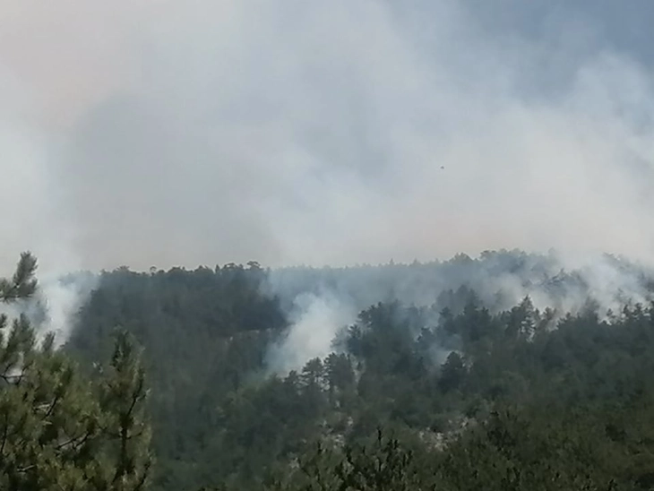 Изгаснат пожарот кај село Белица, Бродско