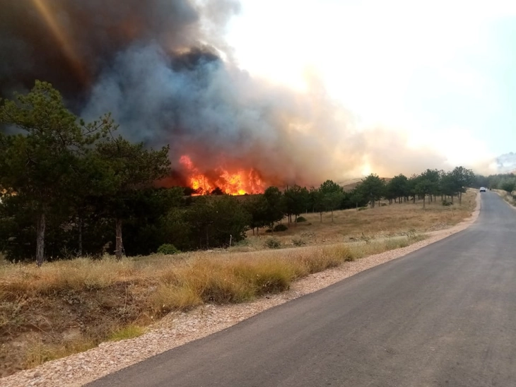 Пожарот кај Кочани привремено ставен под контрола