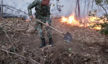 Градоначалникот на Делчево апелира граѓаните да не се движат низ шумските подрачја