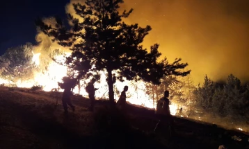 Гасењето на пожарот во село Умлена отежнато поради непристапниот терен