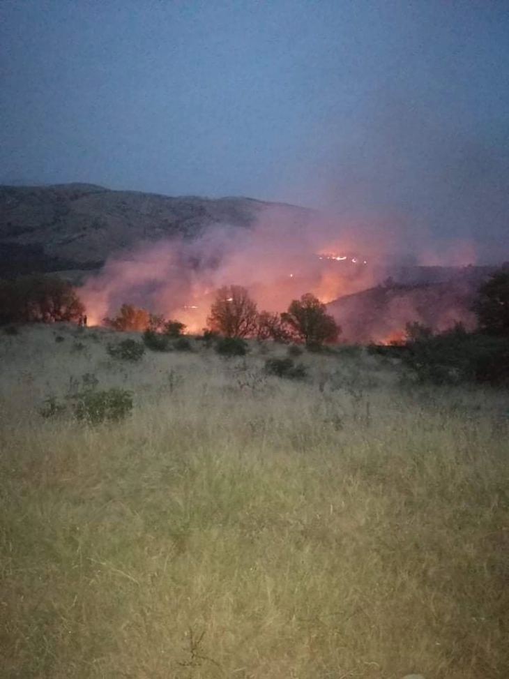 Пожарникари и доброволци неколку часа го гасат пожарот во Богословец