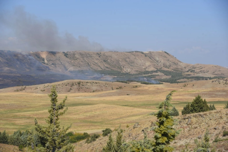 Локализиран пожарот во штипскиот регион