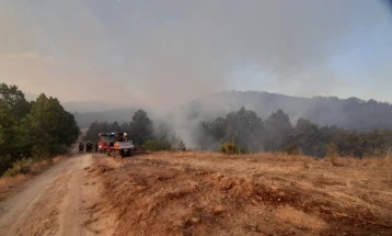Уште гори од Топлица до селото Крстец, пожарот во Катланово со намален интензитет