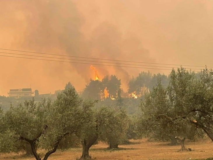 За 24 часа 106 шумски пожари во Грција