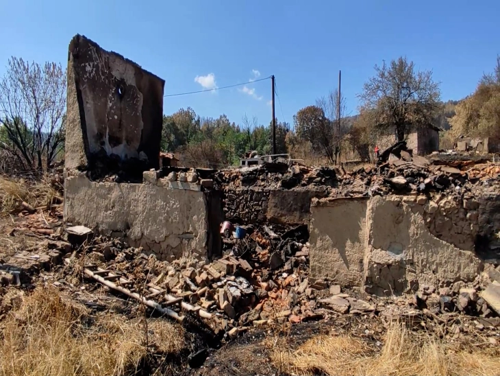 Штетата од опожарените шуми се уште не е проценета, но наскоро ќе ја почувствуваме