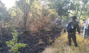 Локализиран пожарот на планината Готен кај Нивичино во Струмичко