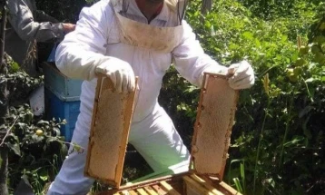 Златни медали за македонски мед на натпревар во Тузла