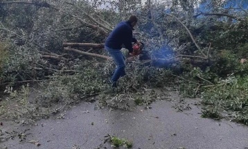 Отстранети паднати дрвја поради невреме на излезот од Тетово кон Гостивар
