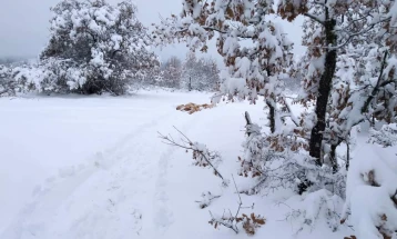 Оставена храна за орлите мршојадци на хранилиштето „Витачево“