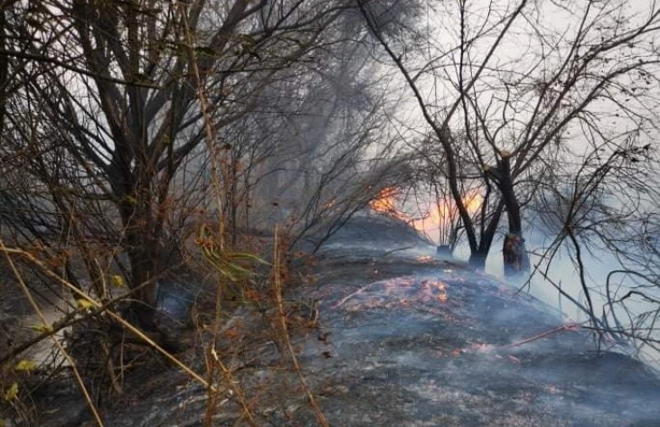 Полињата во Кочанско во пламен, пожарникарите со зголемен број интервенции