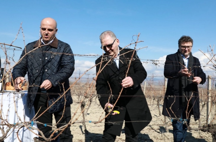 ВВ „Тиквеш“ ги закрои лозјата во чест на Св. Трифун и најави три нови вина