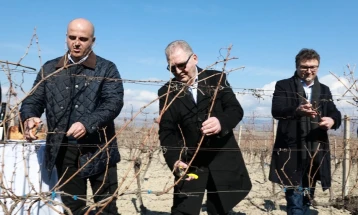 ВВ „Тиквеш“ ги закрои лозјата во чест на Св. Трифун и најави три нови вина