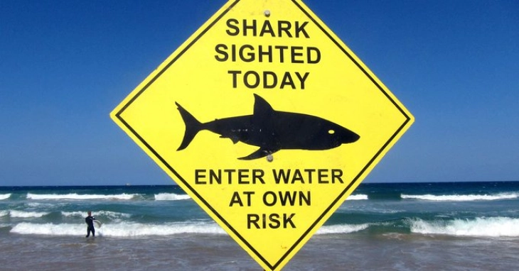 Во Сиднеј ајкула уби пливач, плажите затворени првпат по 60 години