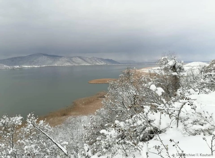 Зголемени водостоите на Дојранското и Преспанското Езеро