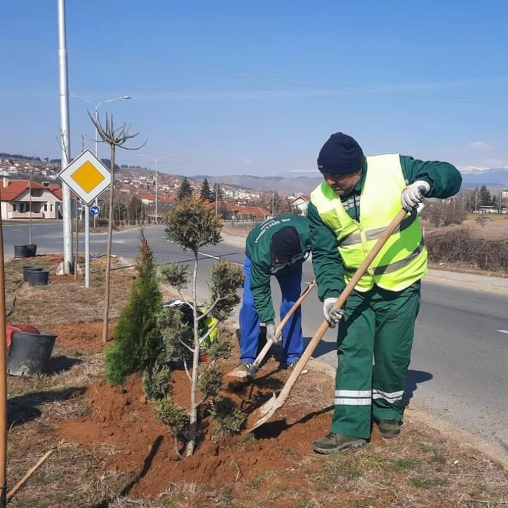 Акција за засадување нови садници во Делчево