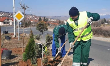 Акција за засадување нови садници во Делчево