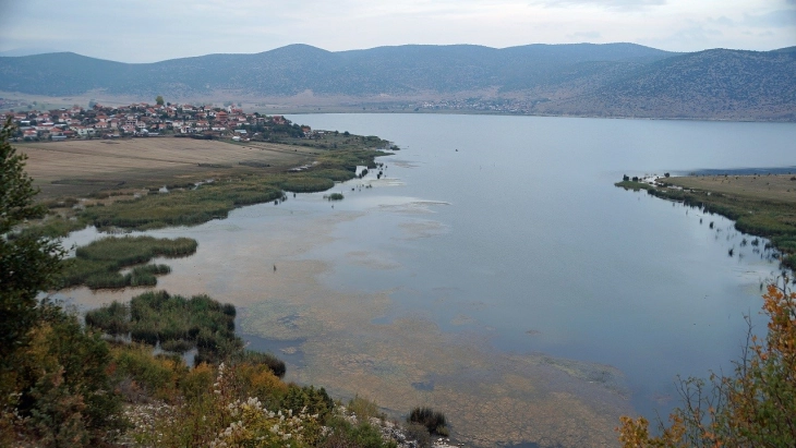 Потврден птичји грип меѓу пеликаните и во Мала Преспа