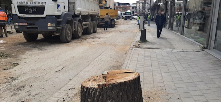 Исечени десетици дрвја поради реконструкција на улица во Тетово, Општината вели дека ќе се реконструира се, па и дрворедот