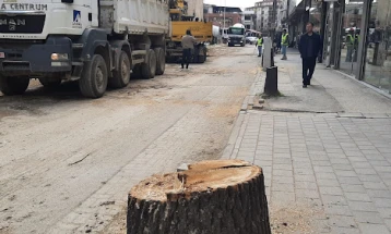 Исечени десетици дрвја поради реконструкција на улица во Тетово, Општината вели дека ќе се реконструира се, па и дрворедот