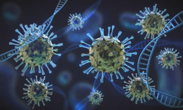 Германски министер предвидува голем пад на случаите на коронавирус в лето, но и нов бран наесен