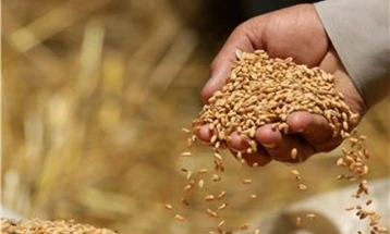 Кабулов: Путин одобри испраќање жито во Авганистан доколку е потребно