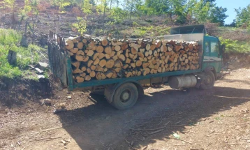 Во полициска акција приведени 12 дрвокрадци во Струшко