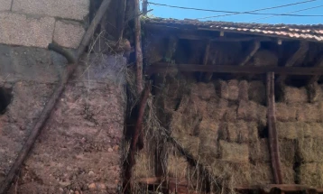 Спречено ширење на пожар во плевна во тетовско Камењане
