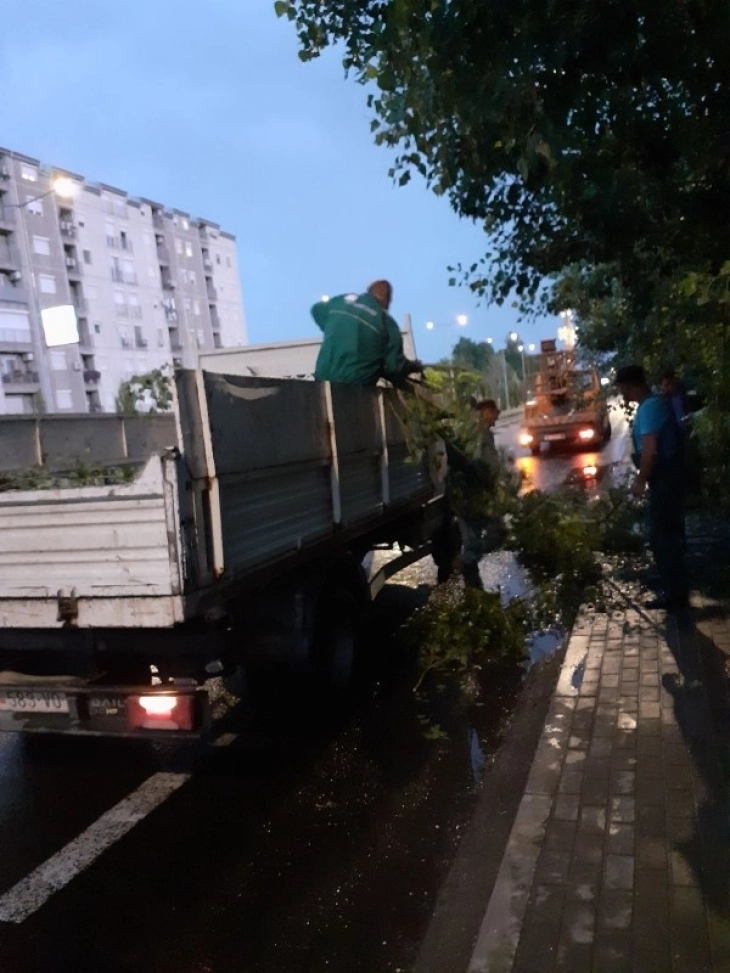 Екипи на ЈП „Паркови и зеленило“ отстрануваа паднати дрвја и гранки