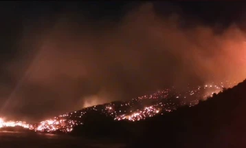 Голем шумски пожар на грчкиот остров Самос