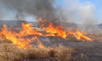 Изгаснат пожарот во Гевгелиско