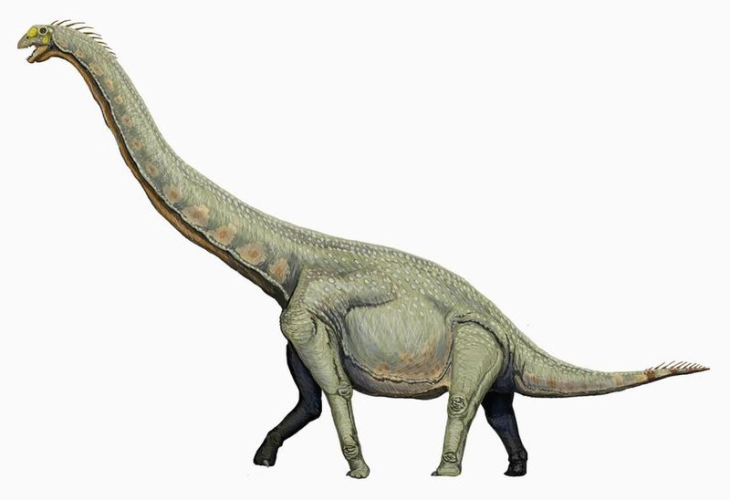 Стапалки од диносаурус стар 100 милиони години откриени во југозападна Кина