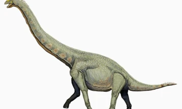 Стапалки од диносаурус стар 100 милиони години откриени во југозападна Кина