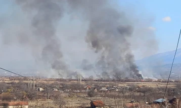 Изгаснат пожар на дива депонија на патот од Шуто Оризари према Визбегово