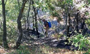 Изгаснат шумскиот пожар во атарот на виничкото село Блатец