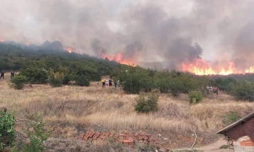 Се шири пожарот помеѓу Гевгелија и Богданци, загрозено селото Ѓавато и ветерниците