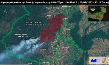 Во пожарот во грчкиот Национален парк Дадиа во Еврос досега изгореле 12 отсто од заштитената шума