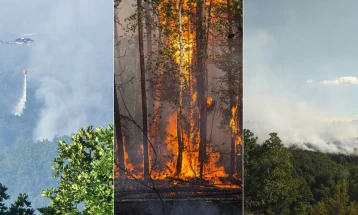 Една година од ланските пожари, надлежните тврдат поуката извлечена, а огнот „под контрола“
