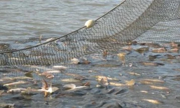Во Охридското Езеро одземени 17 рибарски мрежи со околу 680 парчиња рибен улов