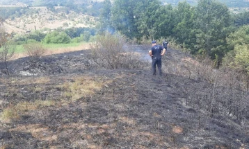 Локализиран пожарот во делчевско Разловци