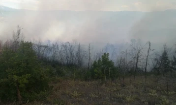 Повторно активен пожарот кај охридските села Вапила и Сирула
