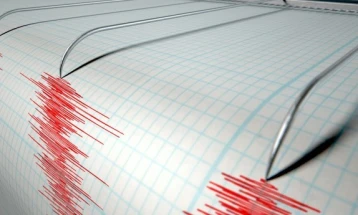 Земјотрес од 2,9 степени по Рихтер утрово регистриран во реонот на Пехчево