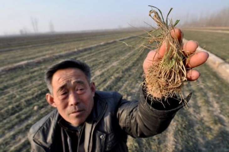 Половина од територијата на Кина е погодена од суша