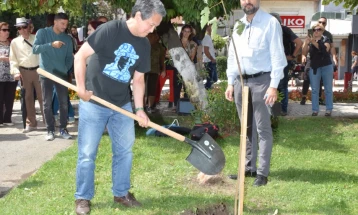 Синот на Таникава и Амир Ор засадија дрво во Паркот на поезијата во Струга