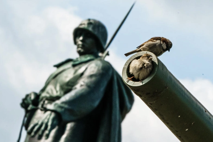 Многу земји отстрануваат советски споменици, Германија „има обврски“