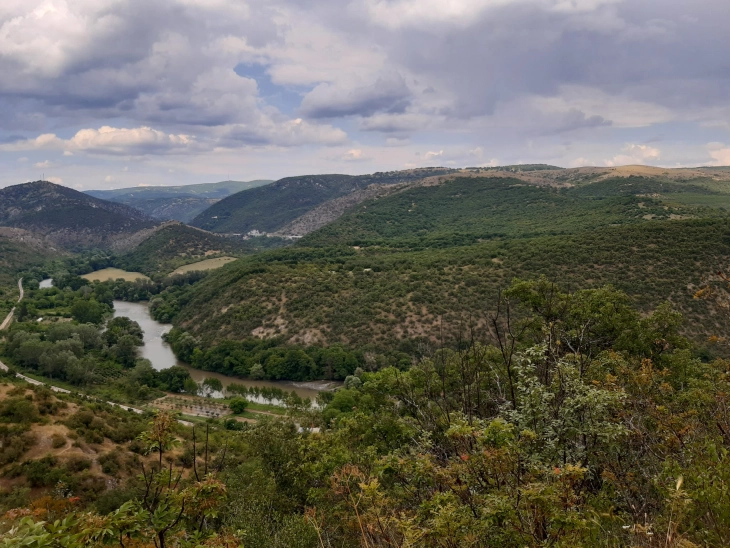 Екоцид – ново кривично дело против животната средина
