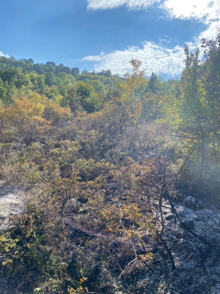 Во пожар изгореа четириесетина декари сува трева и нискостеблеста шума во атарот на селото Вешје