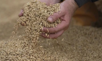 Николовски: Со предложените законски измени оризот ќе стане стратешка култура и ќе се откупува за стоковите резерви
