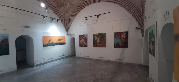Изложба на уметници од Меѓународната уметничка колонија на Попова Шапка