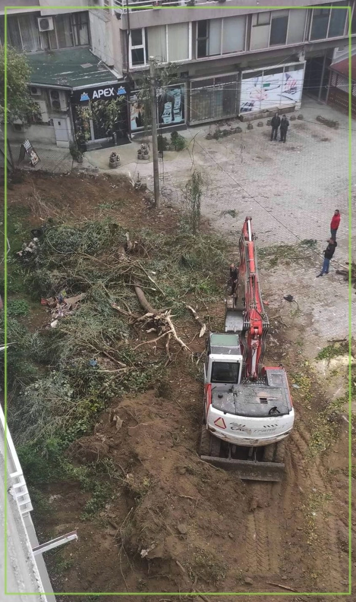 „Тетово сака парк“ бара Општината да одговори зошто се исекоа дрвја во зелениот појас